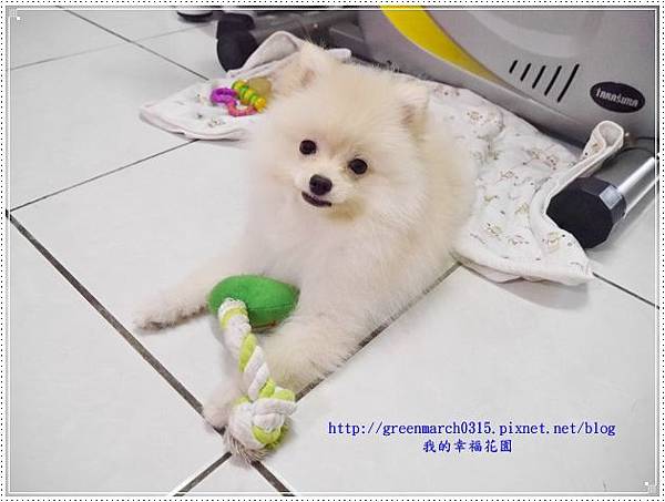 P8990170 (620x465).jpg