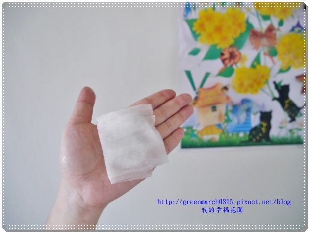 P8990523 (620x465).jpg 試用