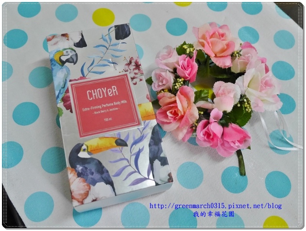 P9000018 (620x465).jpg 試用