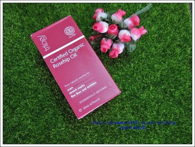 IMG_0089 (620x465).jpg 試用