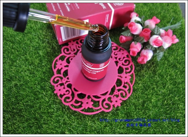 IMG_0096 (620x445).jpg 試用