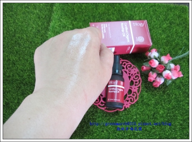 IMG_0104 (620x452).jpg 試用