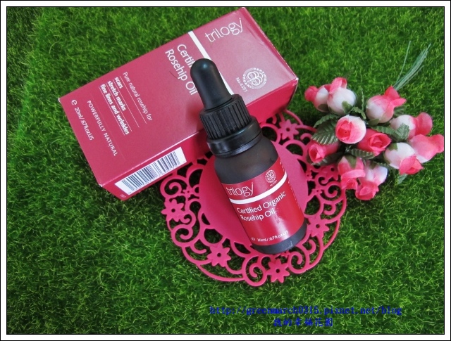 IMG_0105 (620x465).jpg 試用