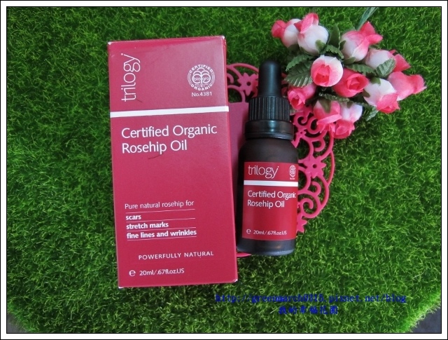 IMG_0107 (620x465).jpg 試用