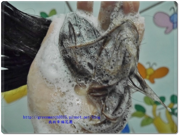 P9040834 (620x465).jpg 試用