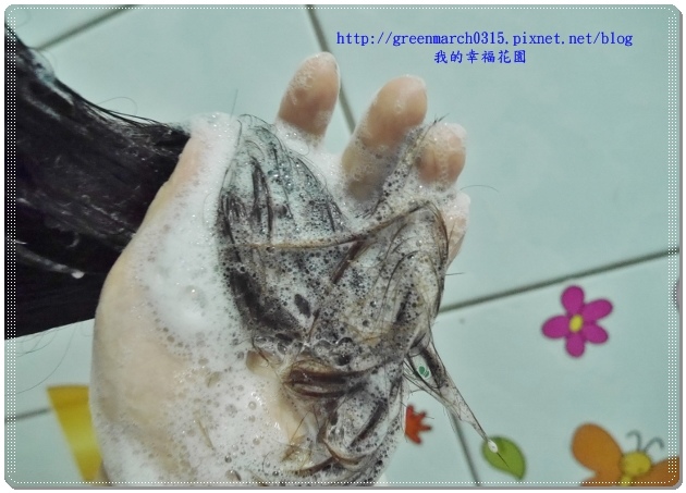 P9040836 (620x443).jpg 試用