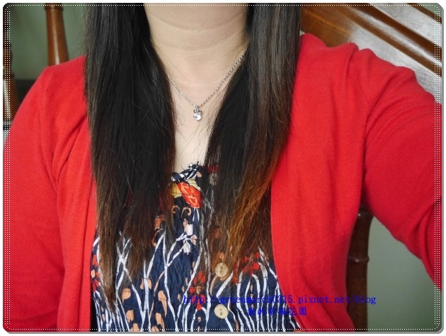 P9040843 (620x465).jpg 試用