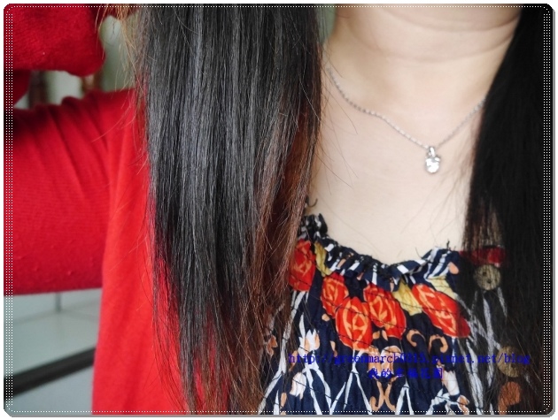 P9040848 (620x465).jpg 試用