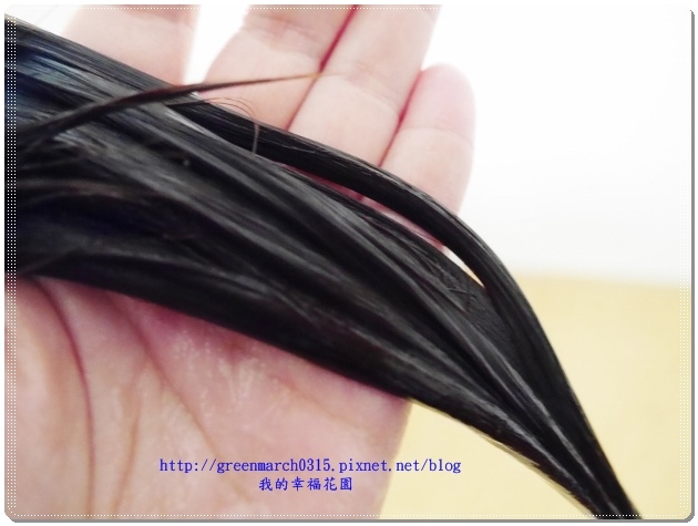 P9190059 (620x465).jpg 試用