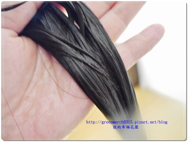 P9190060 (620x465).jpg 試用