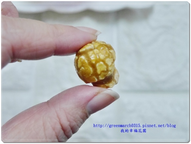 P9230868 (620x465).jpg 試用