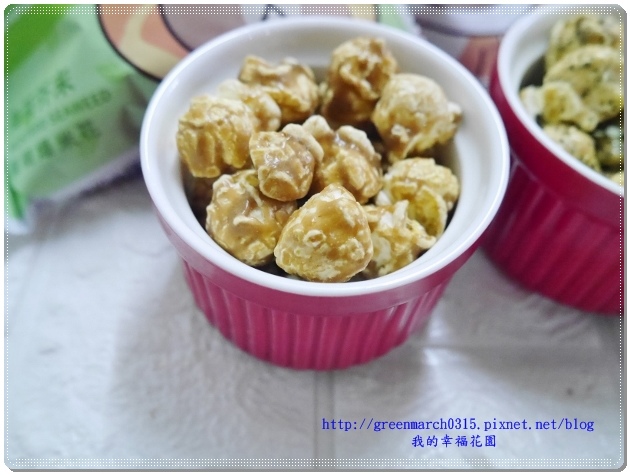 P9230881 (620x465).jpg 試用