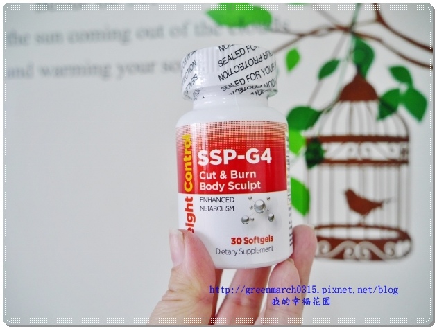 P9260164 (620x465).jpg 試用