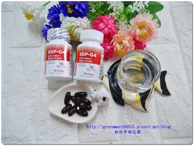 P9260211 (620x465).jpg 試用