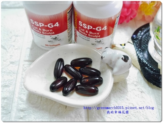 P9260213 (620x465).jpg 試用