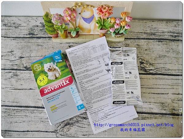 P9260554 (620x465)_副本.jpg