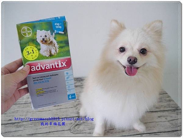 P9260565 (620x465)_副本.jpg