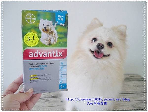 狗狗驅蟲藥使用分享 台灣拜耳 益百分 狗狗專用外寄生蟲預防藥物 每月使用一管 讓狗兒遠離蟲蟲困擾 每天都能快樂出門玩耍 我的幸福花園 痞客邦 狗狗驅蟲藥使用分享 台灣拜耳 益百分 狗狗專用外寄生蟲預防藥物 每月使用一管 讓狗兒遠離蟲蟲困擾 每天都能快樂出門玩耍 我的幸福花園 痞客邦
