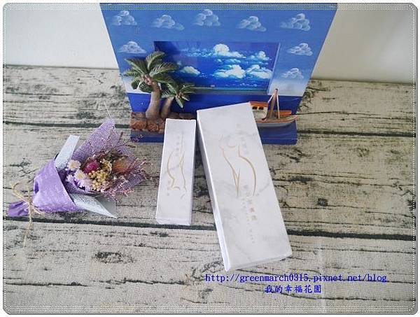 P9260795 (620x465).jpg 試用