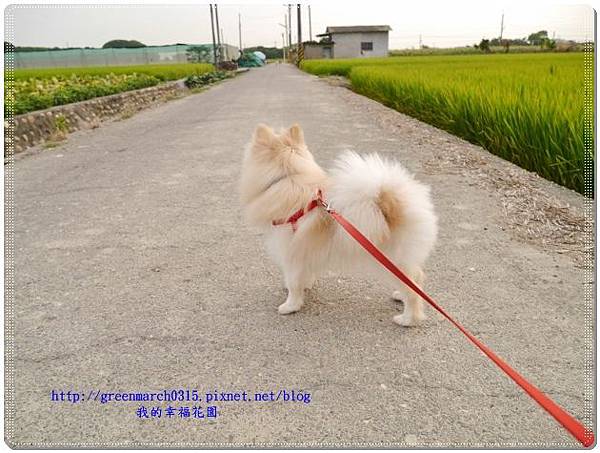 P9360036 (620x465).jpg