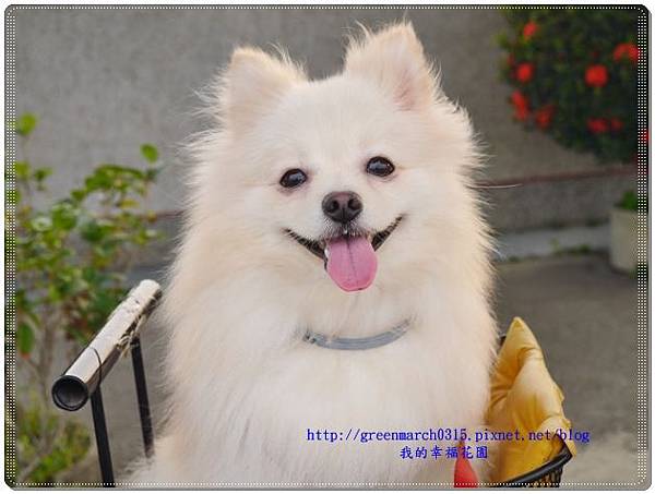 P9360085 (620x465).jpg