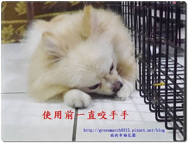 P9380313 (620x470).jpg