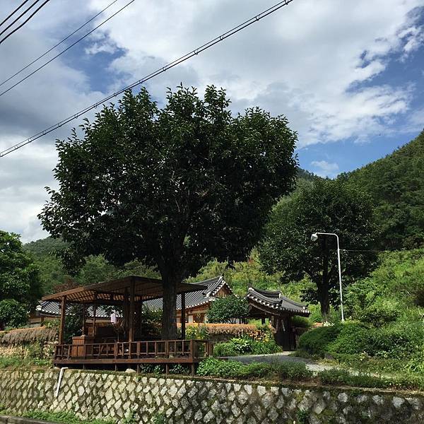 漆古村 漆古村