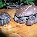 螃蟹 017
