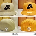 ac007-cap sample.jpg