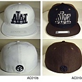 AC010-cap sample.jpg