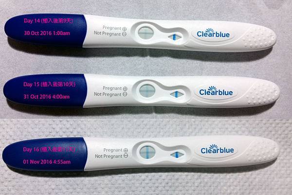 pregancy-test-clearblue1.jpg pregancy-test-clearblue1.jpg