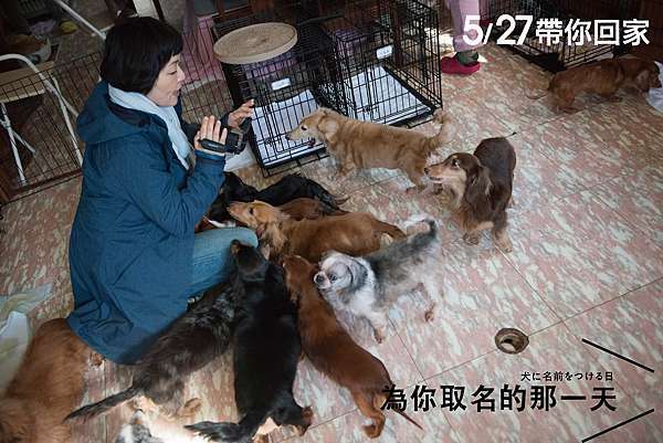 為你取名的那一天導演山田茜 十二夜導演raye 座談會小記 Fanny S House 凡泥的小屋 痞客邦 為你取名的那一天導演山田茜 十二夜導演raye 座談會小記 Fanny S House 凡泥的小屋 痞客邦