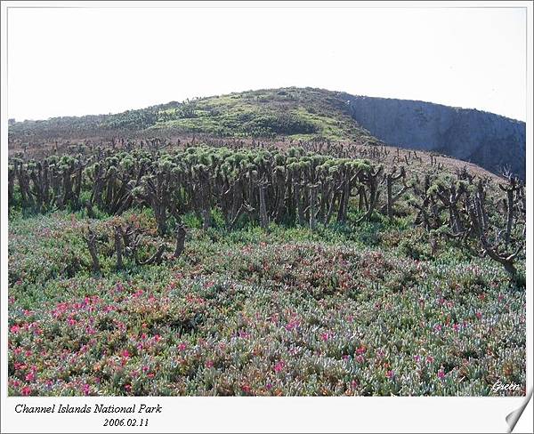 Anacapa (02)