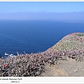 Anacapa (11)