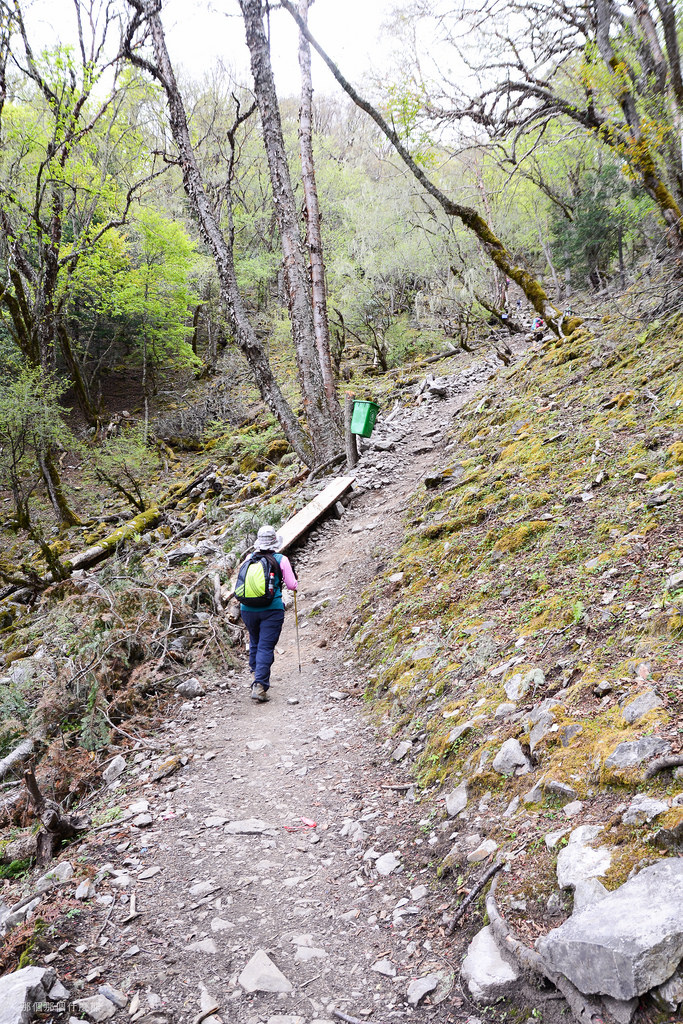  2014 雲南徒步行(DAY 7) - -徒步進雨崩20