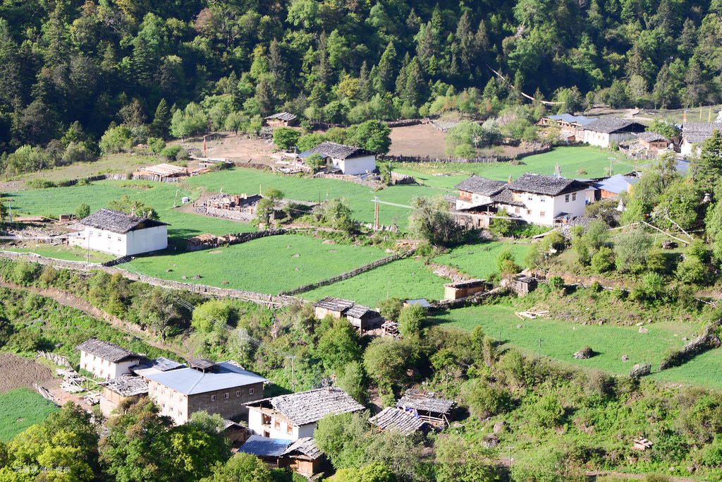 2014 雲南徒步行(DAY 7) - -徒步進雨崩20 2014 雲南徒步行(DAY 7) - -徒步進雨崩20