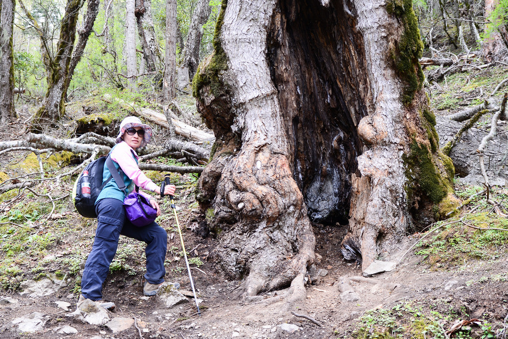  2014 雲南徒步行(DAY 7) - -徒步進雨崩20
