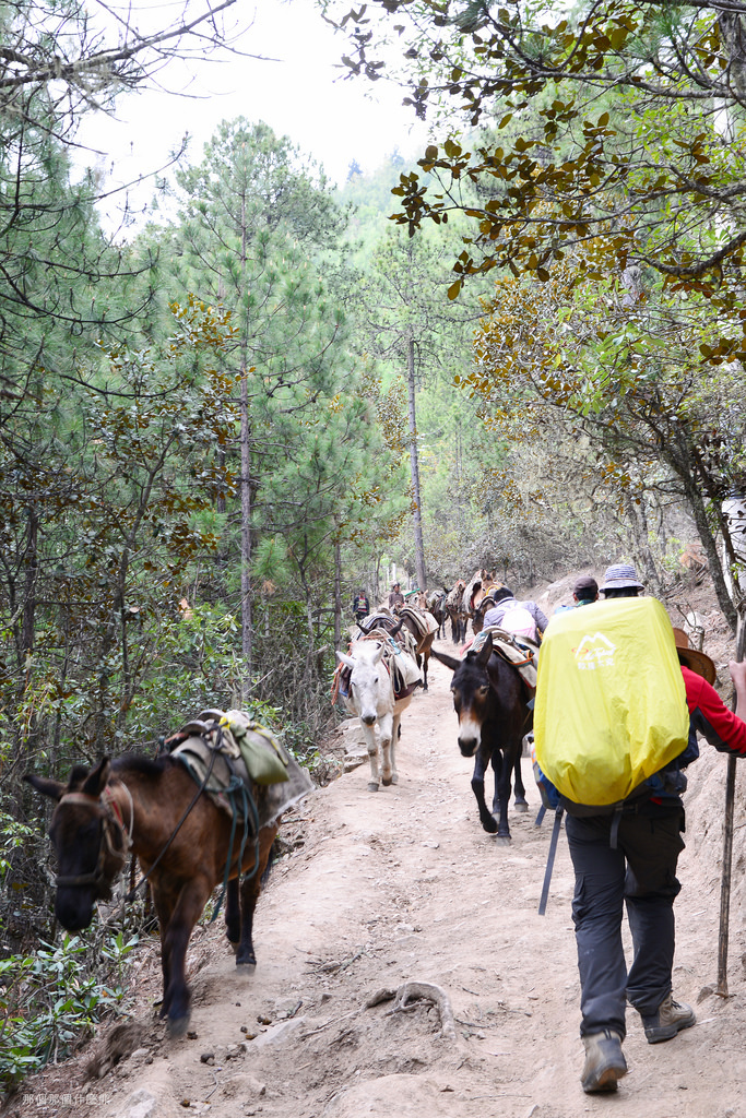 2014 雲南徒步行(DAY 7) - -徒步進雨崩20 2014 雲南徒步行(DAY 7) - -徒步進雨崩20