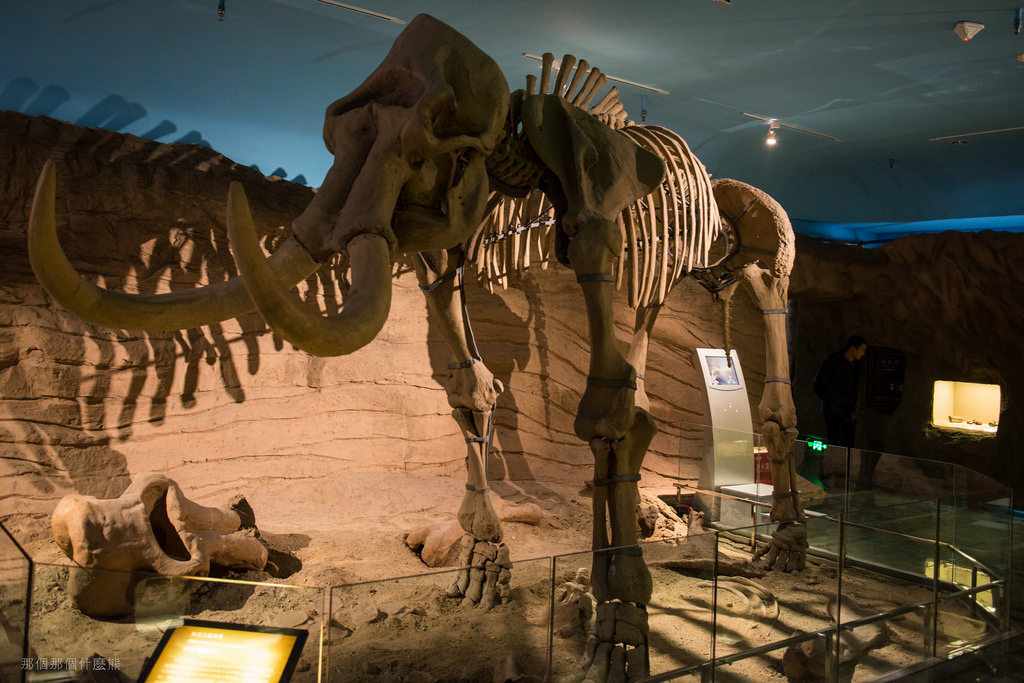 2015 中國東北行 終章 16220209889_4d81033ff5_b