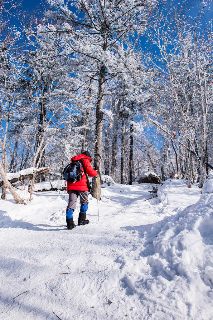 2015 中國東北行 終章 15842428383_1c03f92b71_b