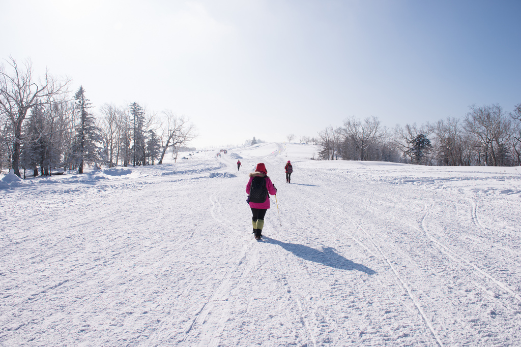 16436506426_3123562522_b