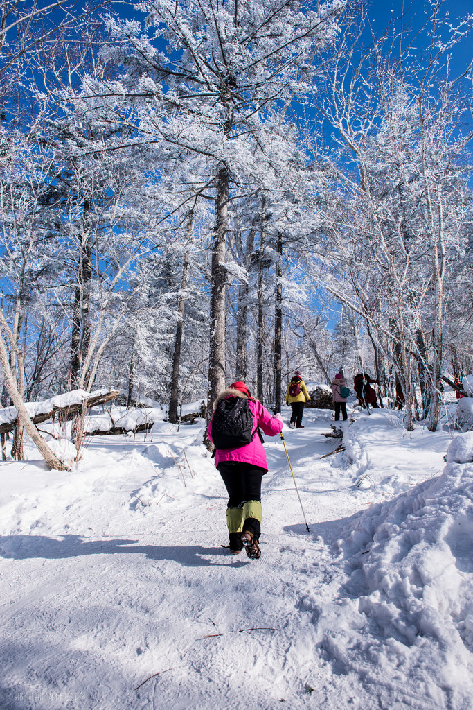 16460772361_247cf9150b_b