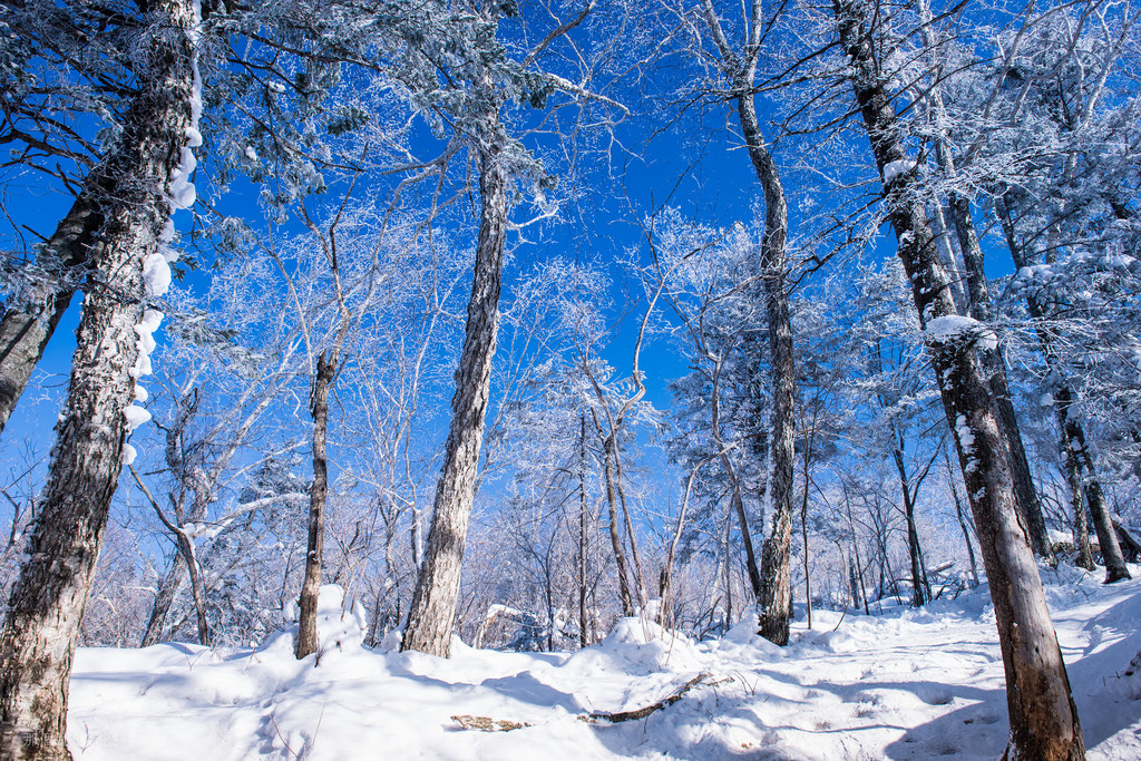 16461572032_14dd2c50b7_b