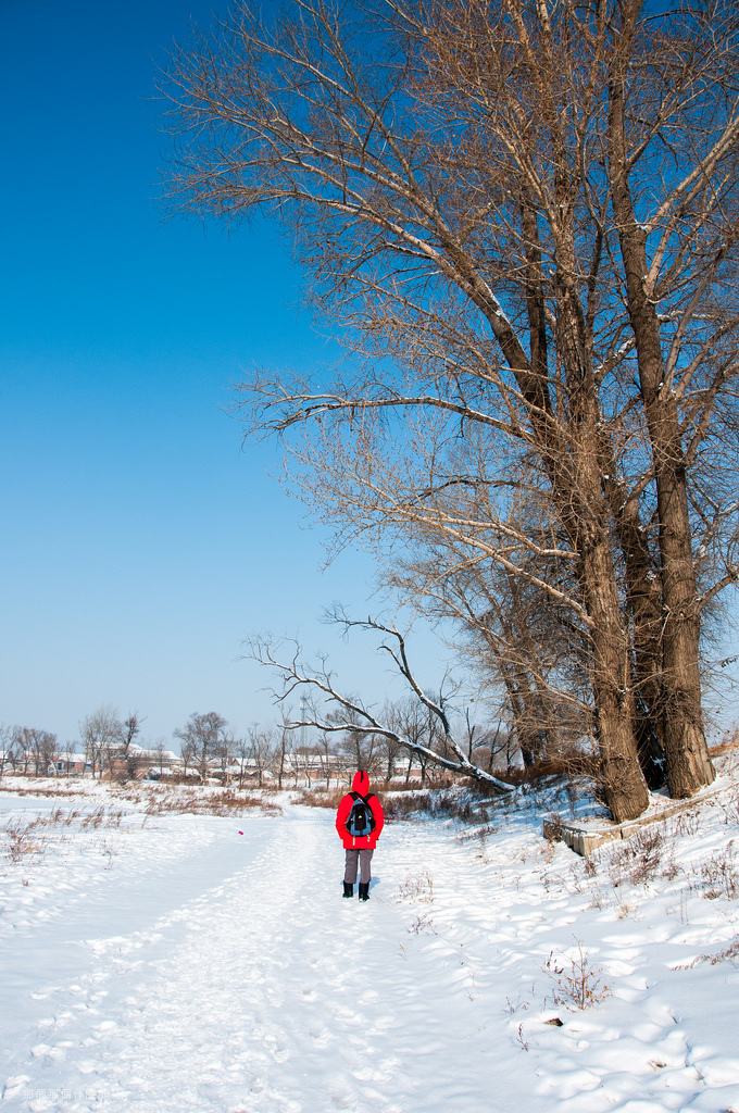 2015 中國東北行 終章 16604044376_8a1f3b51ec_b