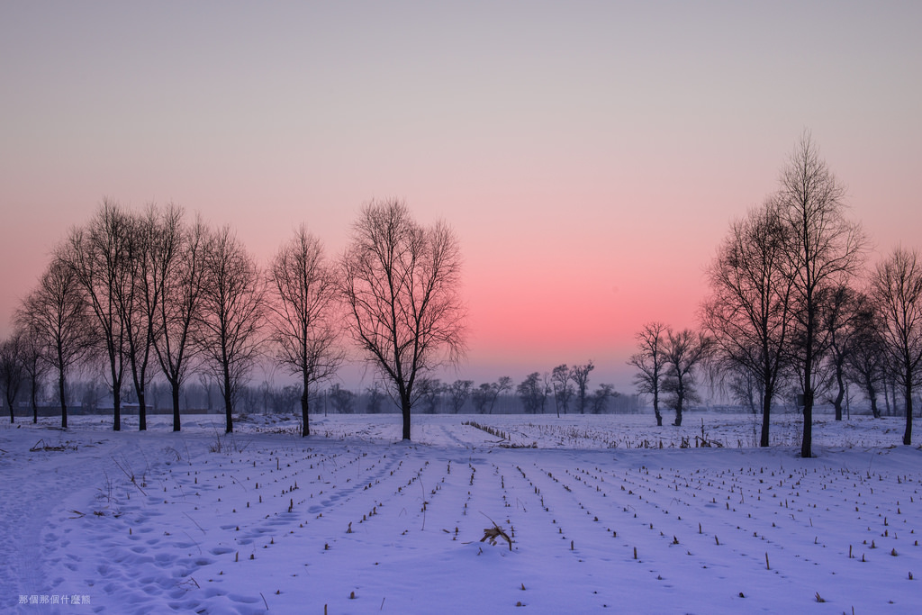 2015 中國東北行 終章 16640468385_f6b3d3bfde_b