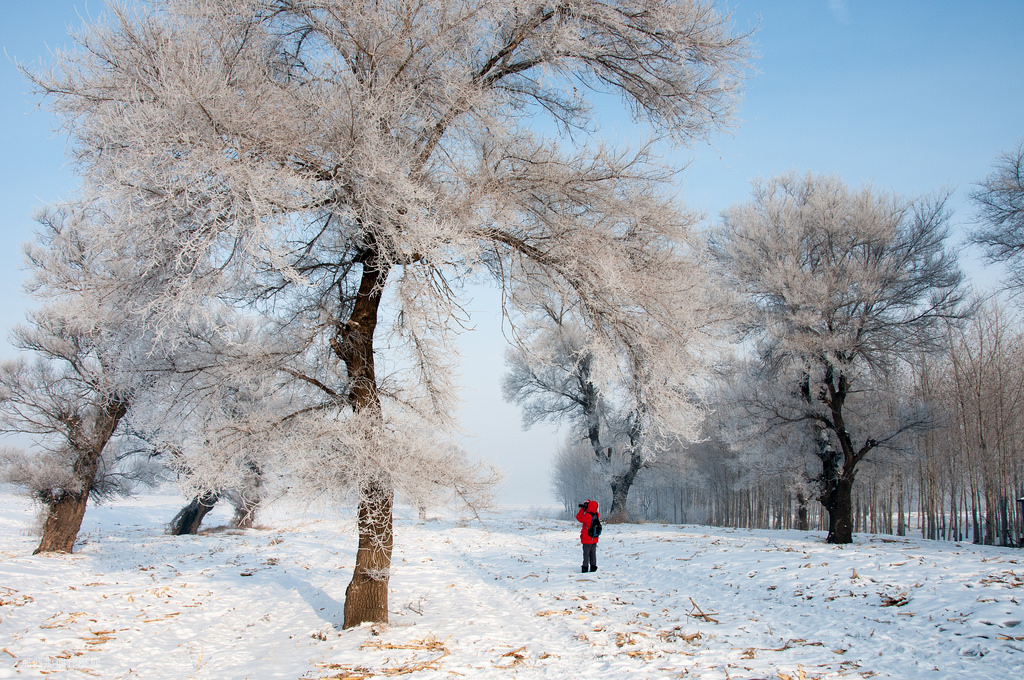2015 中國東北行 終章 16480221060_ab2c432622_b