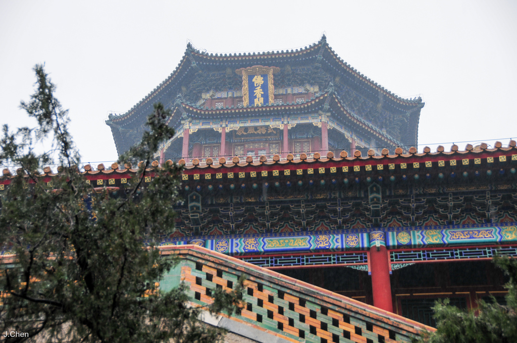 《頤和園、北京大學、奧體中心》2015年11月21日 20151121-DSC_5407.jpg