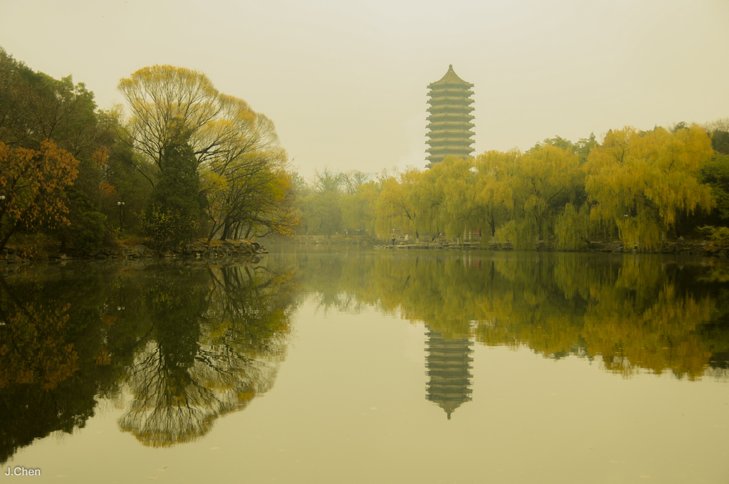 《頤和園、北京大學、奧體中心》2015年11月21日 20151121-DSC_5455.jpg
