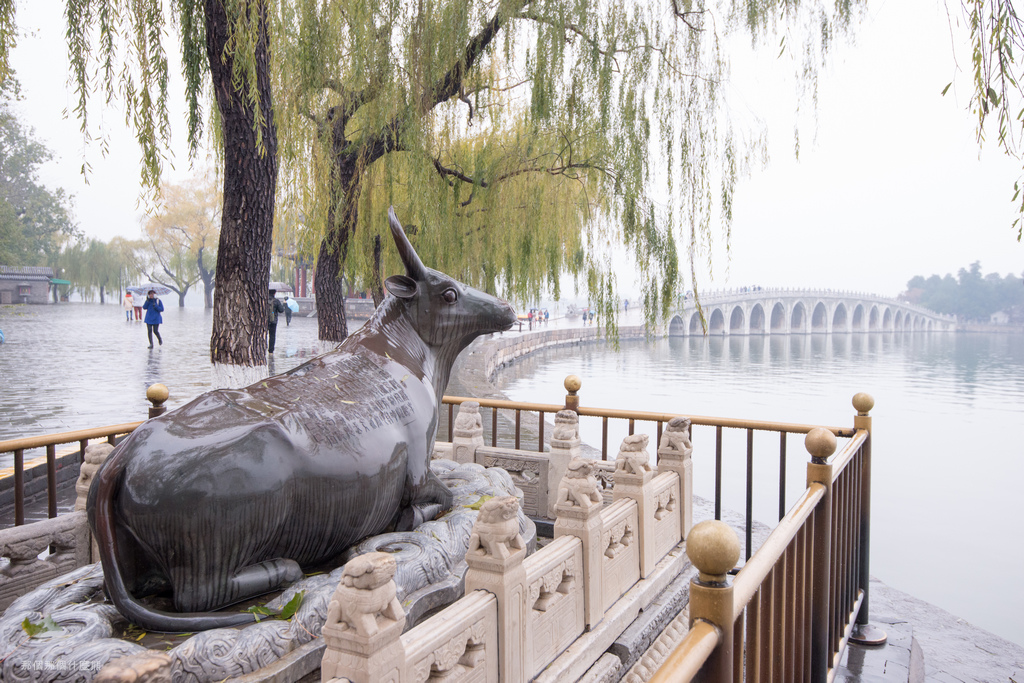 《頤和園、北京大學、奧體中心》2015年11月21日 20151121-DUK_5730.jpg