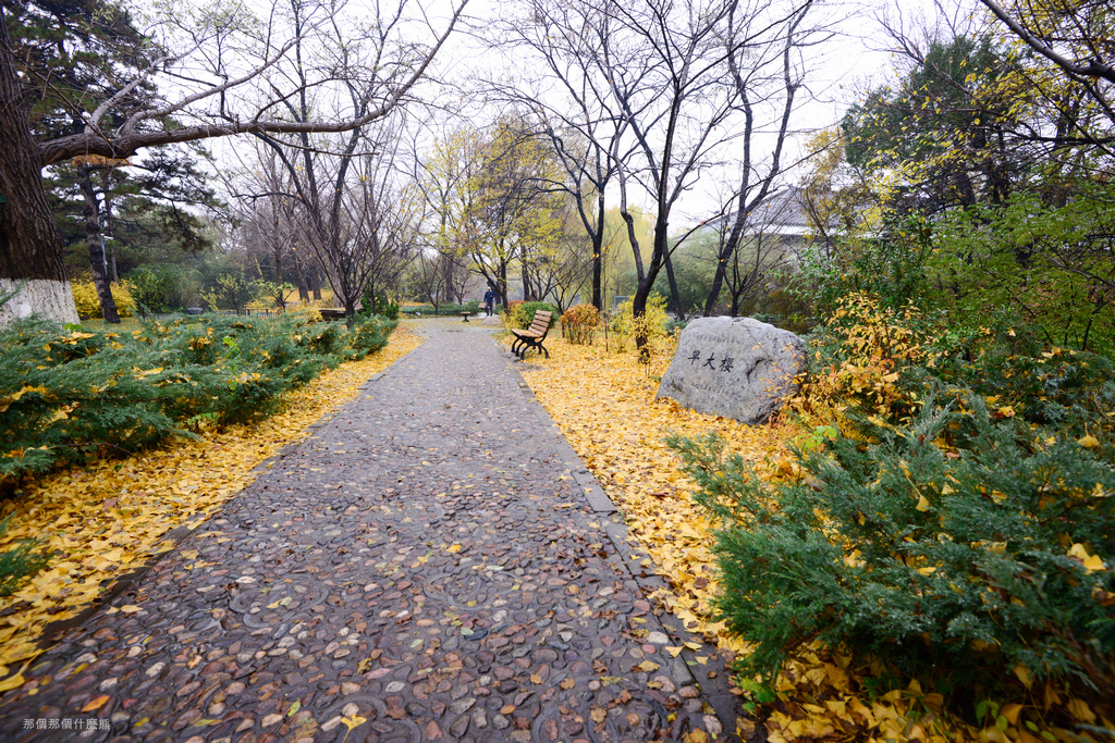 《頤和園、北京大學、奧體中心》2015年11月21日 20151121-DUK_5831.jpg